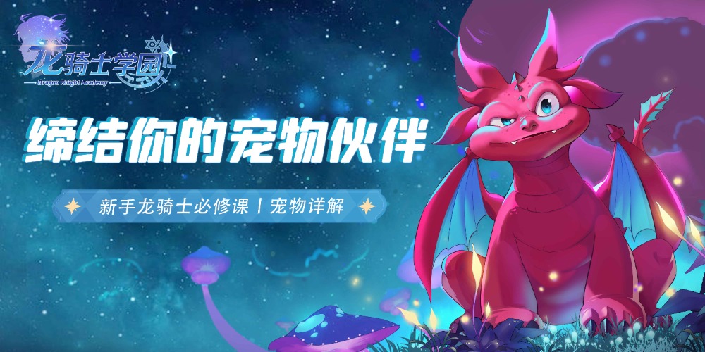 《龙骑士学园》缔结你的宠物伙伴!