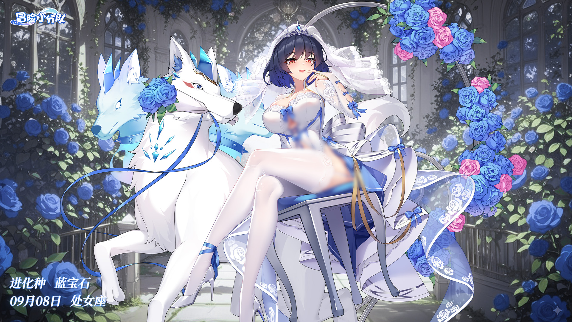 《冒险小分队》0908·蓝宝石&白桃桃生日快乐