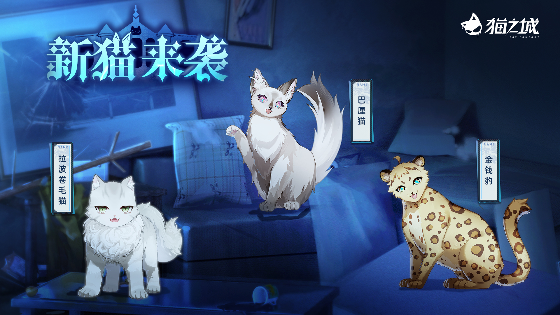 《猫之城》妄诞洋馆丨新猫来袭