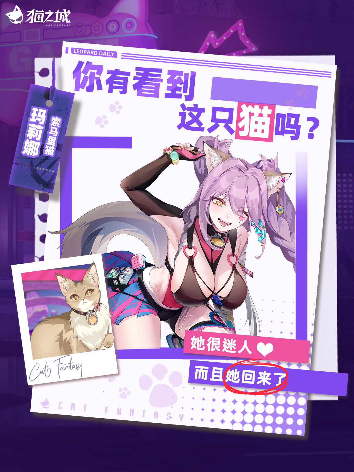 尋貓啟事：你有看到索馬里貓嗎？