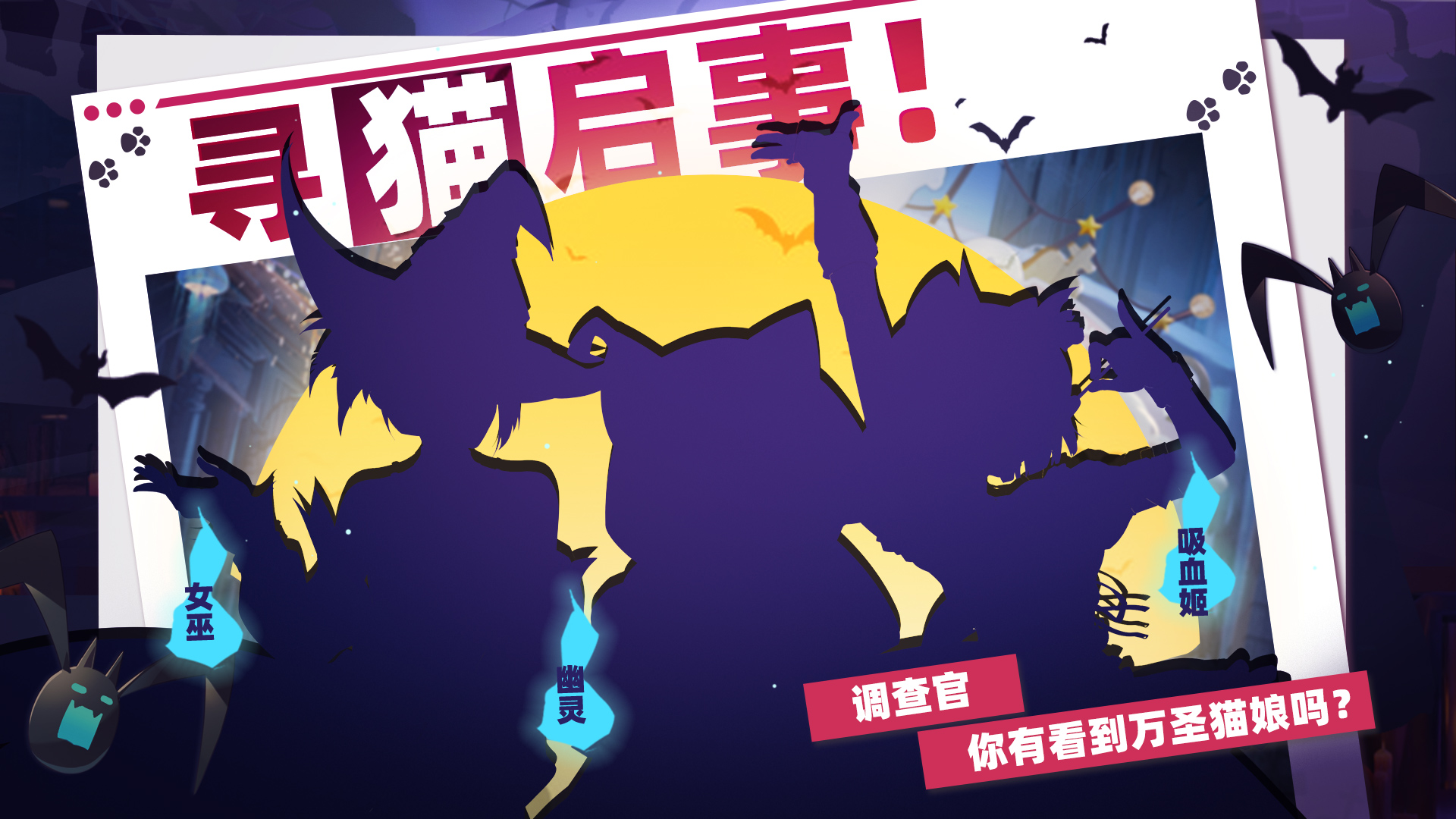 寻猫启事:你有见到她们吗?