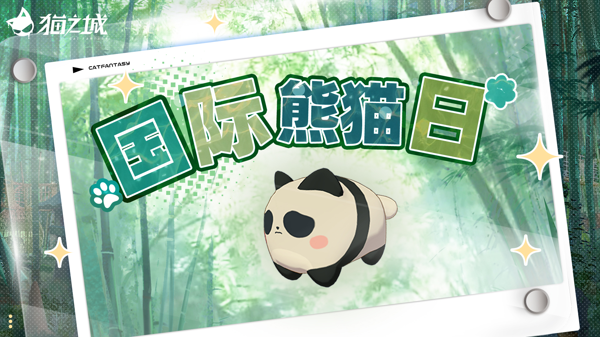 國際熊貓日 守護(hù)圓滾滾！