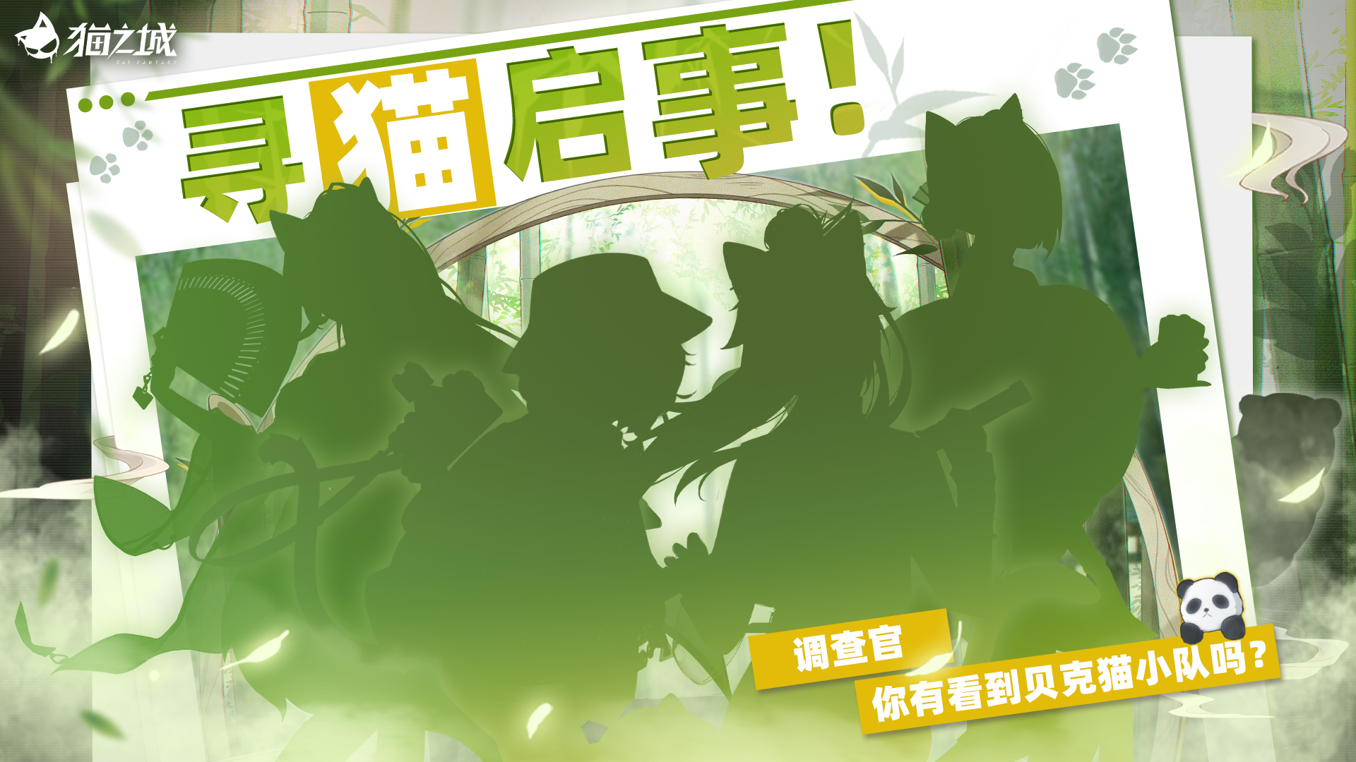 「竹野熊踪」寻猫启事：你有看到她们吗？