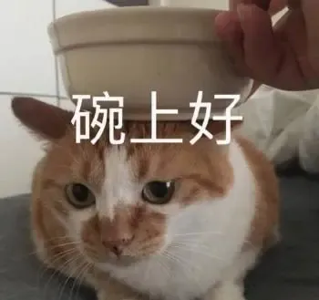 《诺亚传说口袋版》周刊|最新玩法大猜测