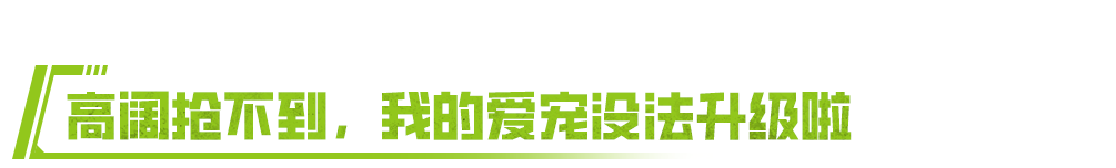 https://cdn.9game.cn/ieu-gdc-mng/27594/files/2024/07/17/9ee4fb84dcc94f9b9da55842dadb5383.png