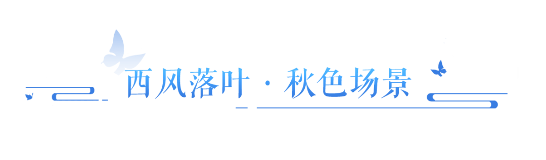 https://cdn.9game.cn/ieu-gdc-mng/27594/files/2024/09/03/1e185df3bb33481681be9d750ad4e0ef.png