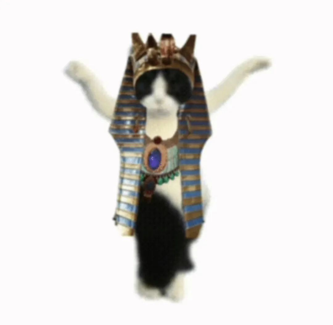 https://cdn.9game.cn/ieu-gdc-mng/27594/files/2024/10/20/363dac6525154defbb8f27d2a7429821.png
