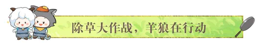 https://cdn.9game.cn/ieu-gdc-mng/27594/files/2025/05/23/43e2487b7785479b8615e9166700db4e.png