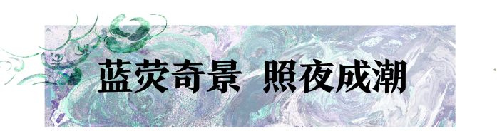 《一梦江湖》赏蓝荧照夜抓水母踏浪！