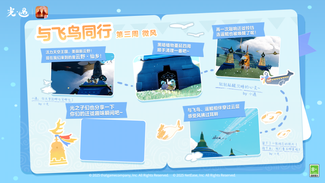 迁徙季任务三已开启｜与飞鸟并行 乘风翱翔