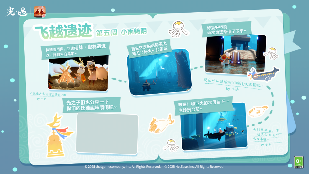 迁徙季任务五已开启｜雨中跋涉 与水母共舞