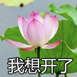 《蜀门》手游玩法爆料：我想开了