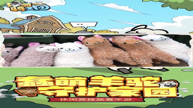 小长假之特种羊！《洋葱骑士团》小羊驼假期实录