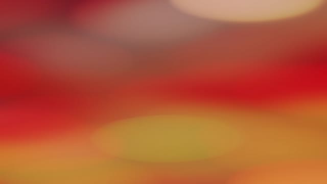 龙漫九州 凤舞朝阳-《少年包青天》新春专属皮肤