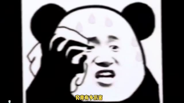 《流浪方舟》的成长历程